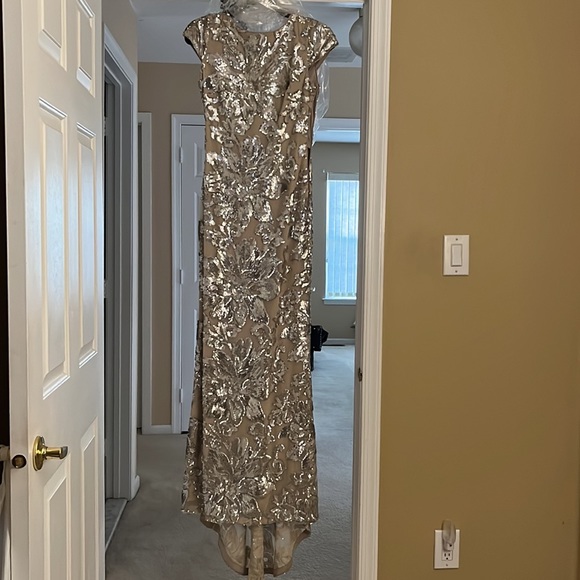 Clavin Klein size 4 Beige with silver sequin evening gown - Picture 4 of 7